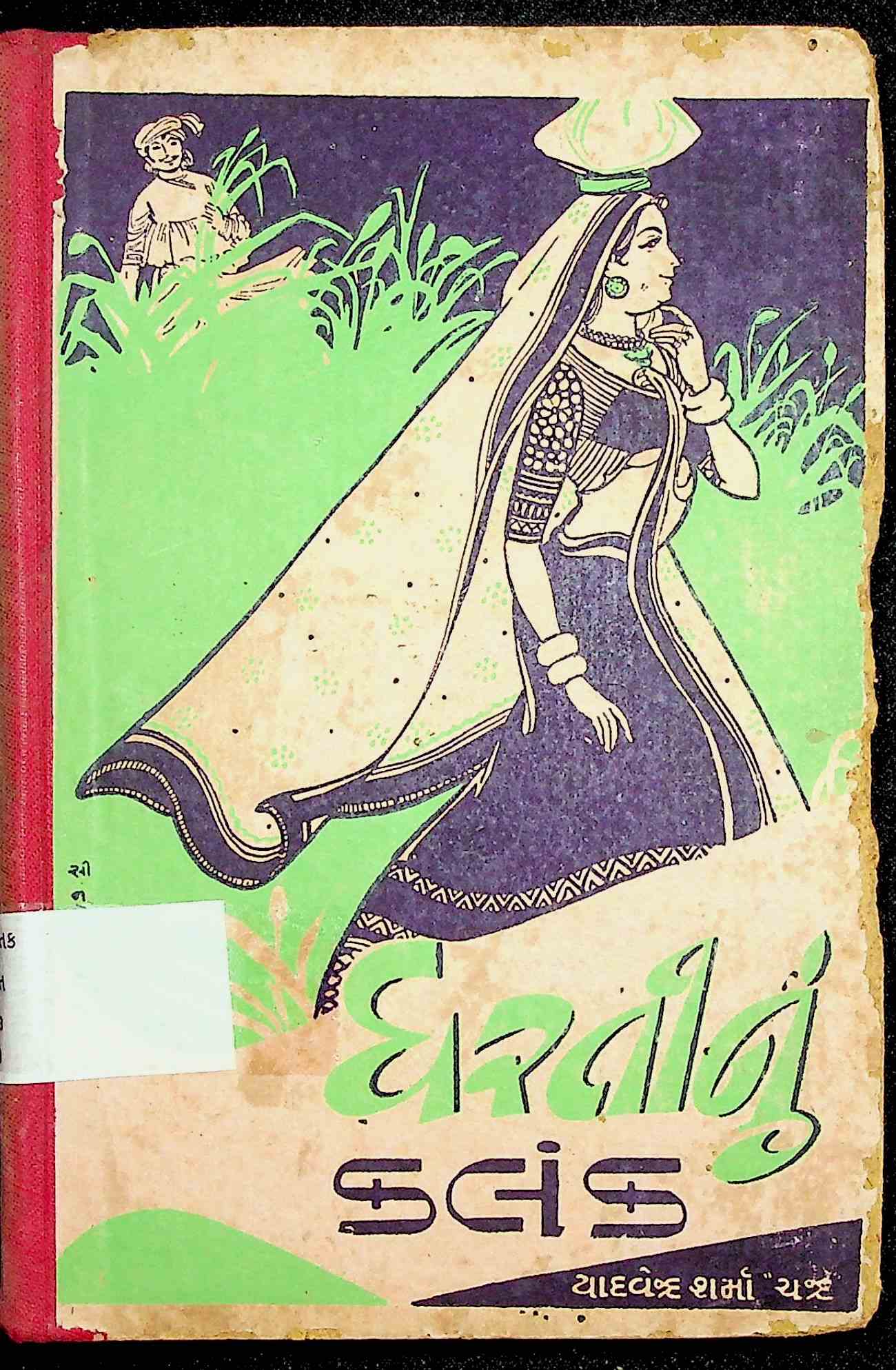 ધરતીનું કલંક