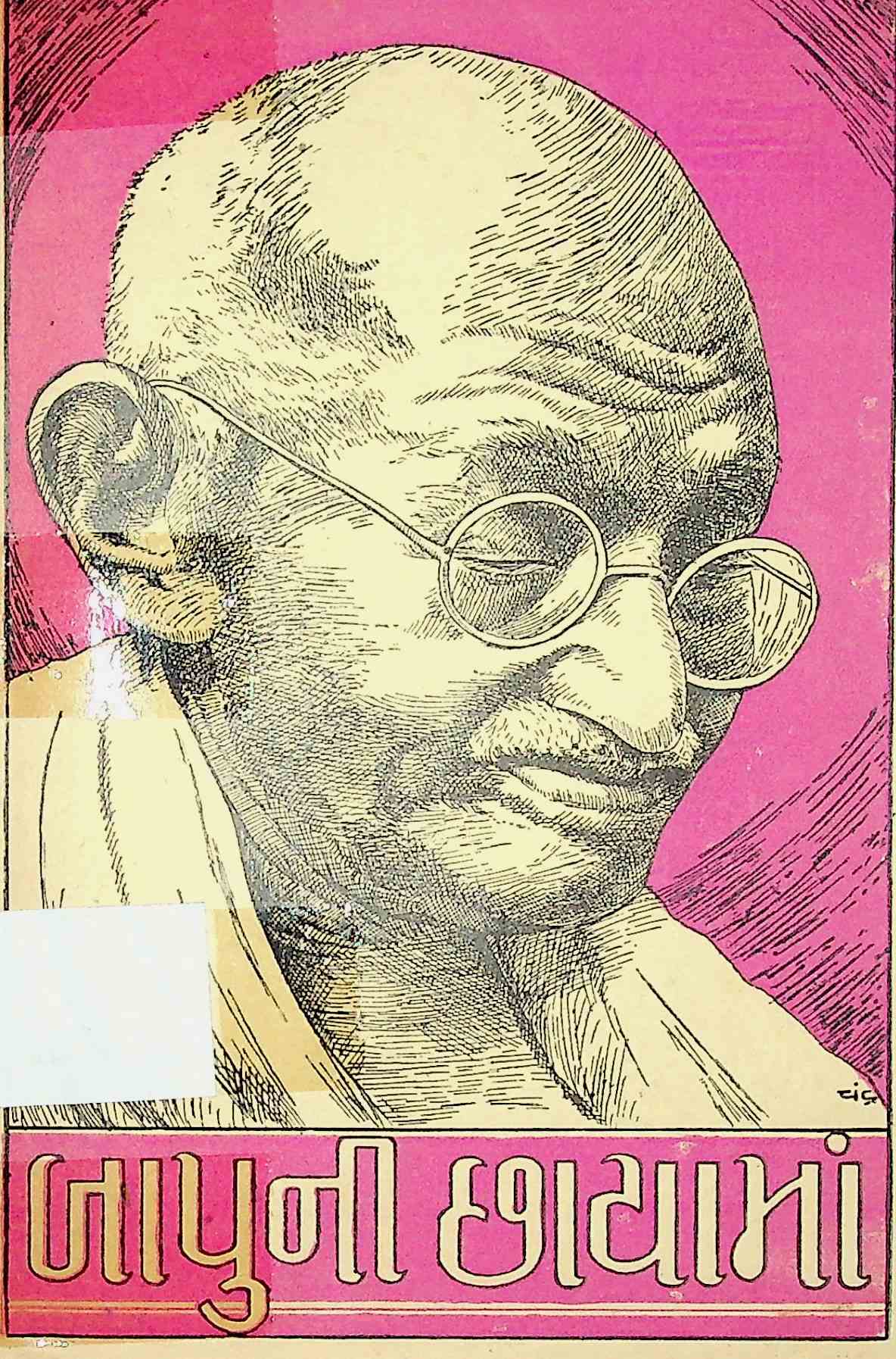 બાપુની છાયામાં